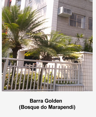 barra-golden